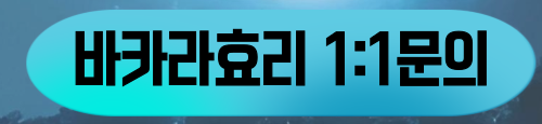 효리1
