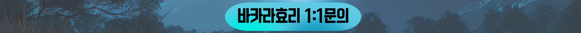 효리1