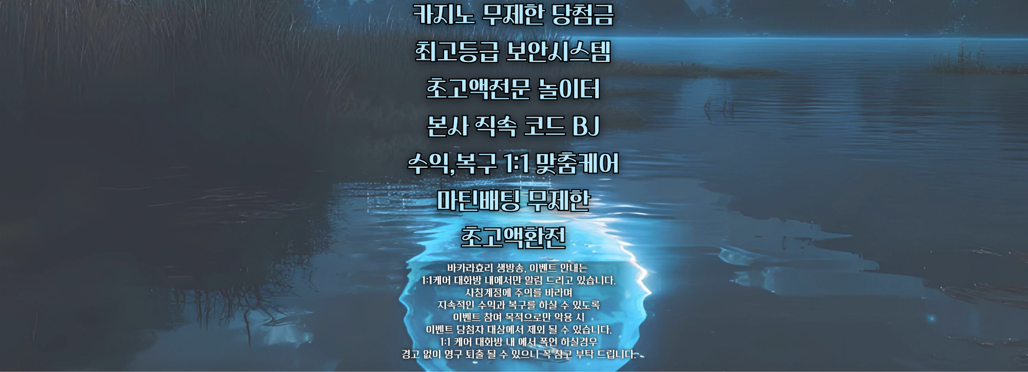 효리1